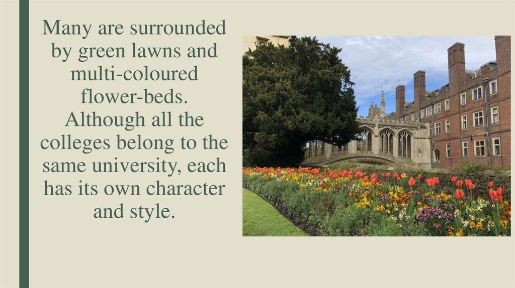 Many are surrounded by green lawns and multi-coloured flower-beds. Although all the colleges belong to the same university,