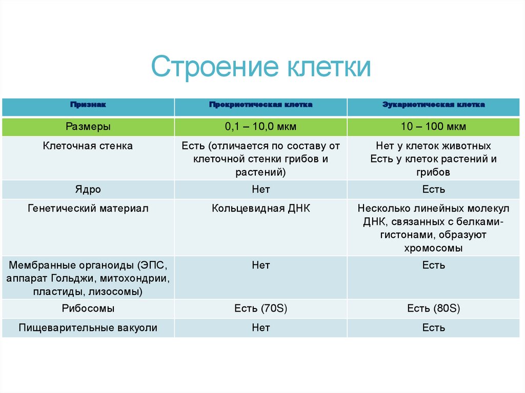 Строение клетки