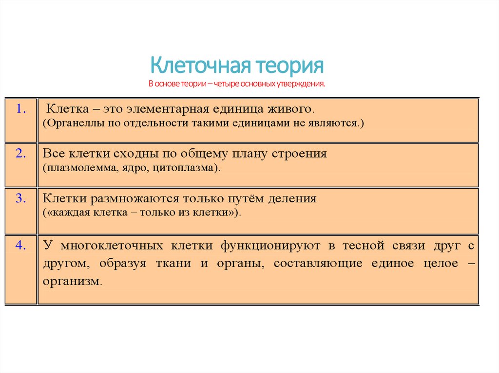 Клеточная теория В основе теории – четыре основных утверждения.