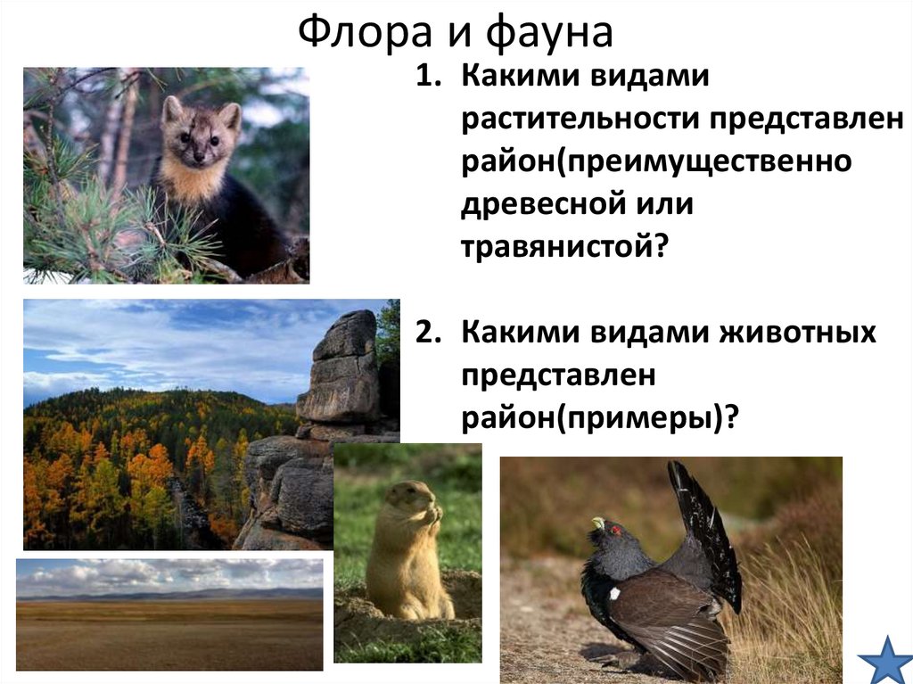 Флора и фауна