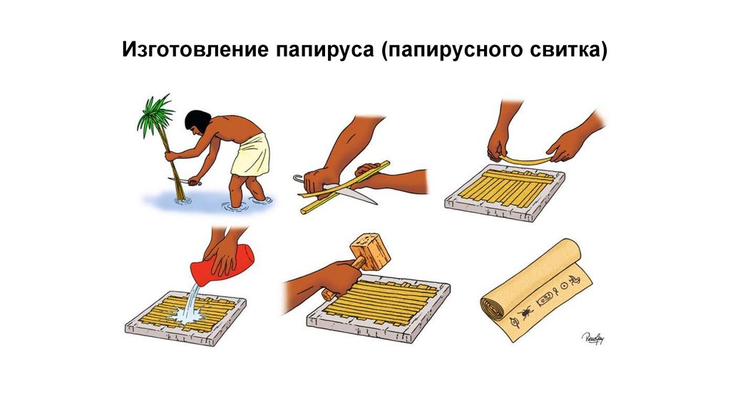 Изготовление папируса (папирусного свитка)