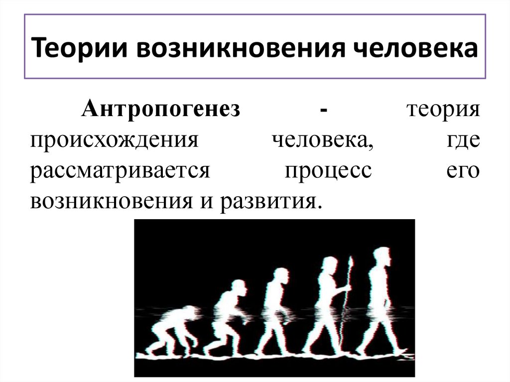 Теории возникновения человека
