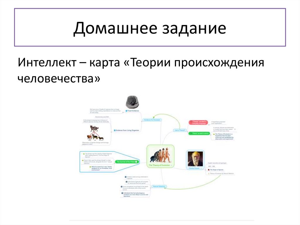 Домашнее задание