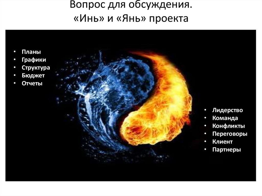 Вопрос для обсуждения. «Инь» и «Янь» проекта