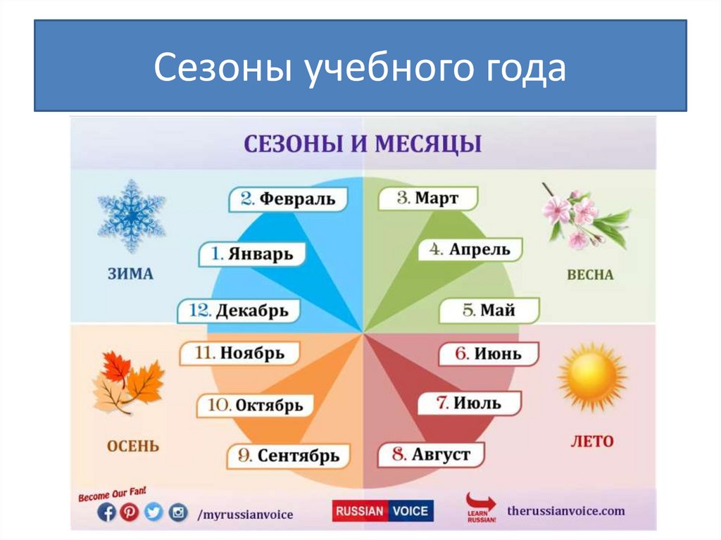 Сезоны учебного года