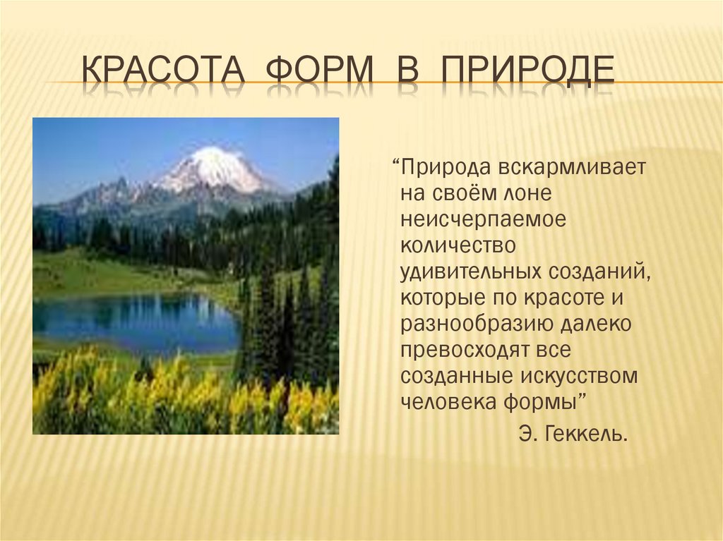 Красота форм в природе