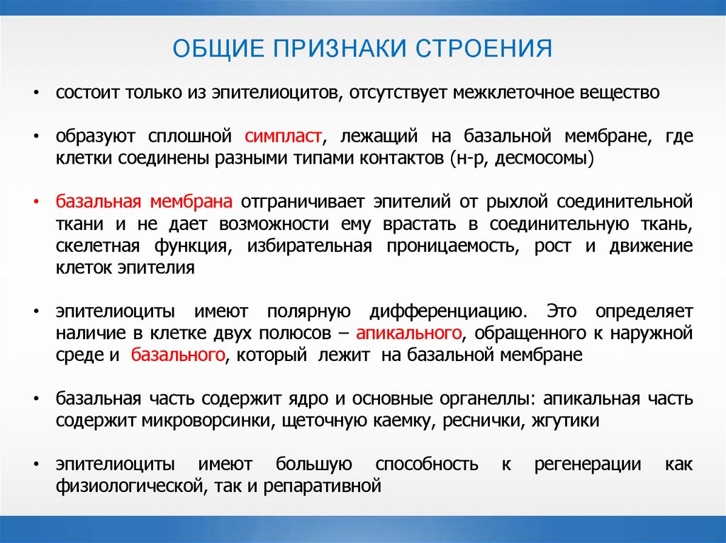 ОБЩИЕ ПРИЗНАКИ СТРОЕНИЯ