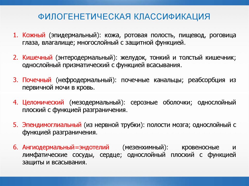 ФИЛОГЕНЕТИЧЕСКАЯ КЛАССИФИКАЦИЯ