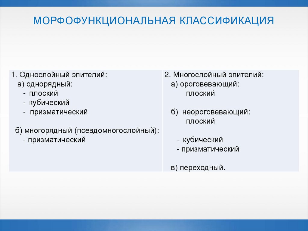 МОРФОФУНКЦИОНАЛЬНАЯ КЛАССИФИКАЦИЯ