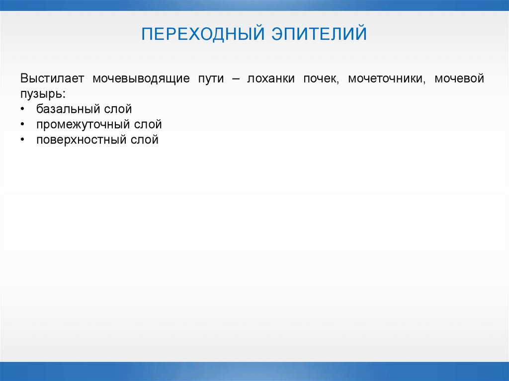 ПЕРЕХОДНЫЙ ЭПИТЕЛИЙ