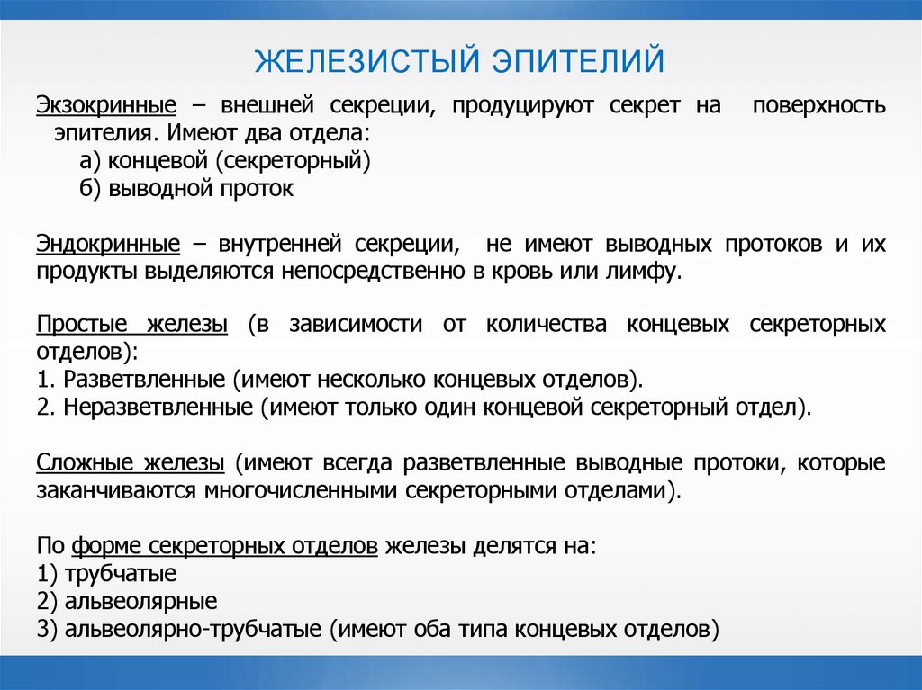 ЖЕЛЕЗИСТЫЙ ЭПИТЕЛИЙ