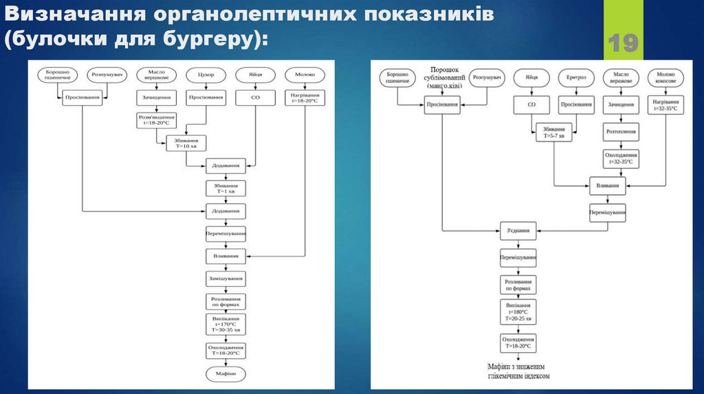 Визначання органолептичних показників (булочки для бургеру):