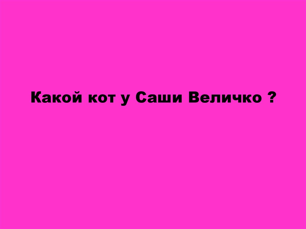 Какой кот у Саши Величко ?