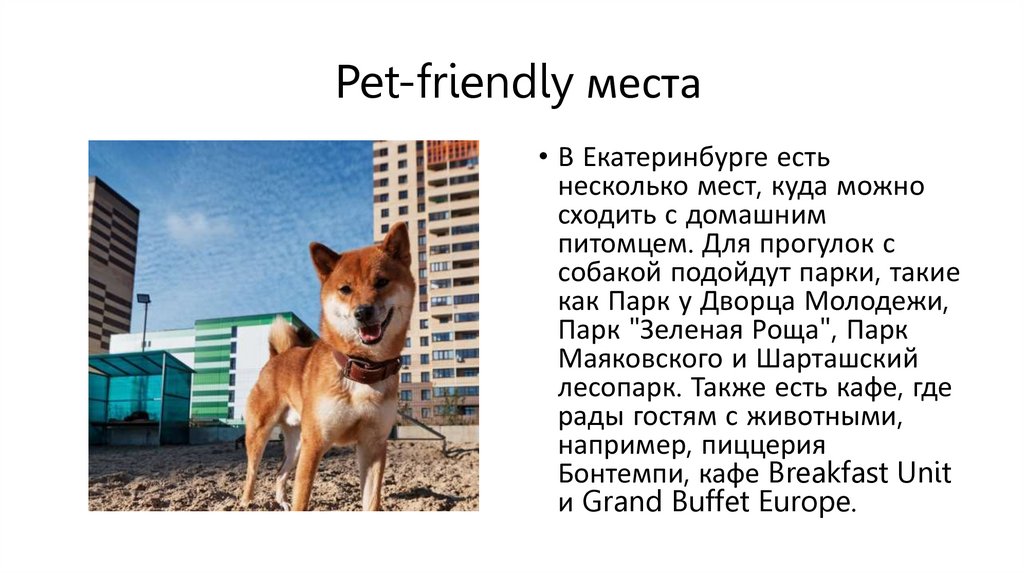Pet-friendly места