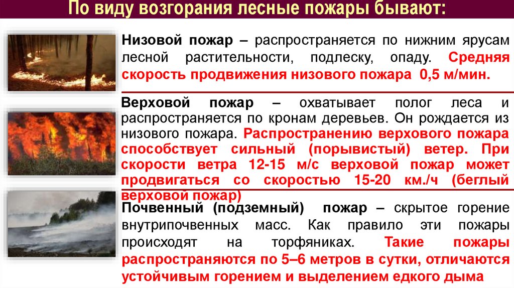 По виду возгорания лесные пожары бывают: