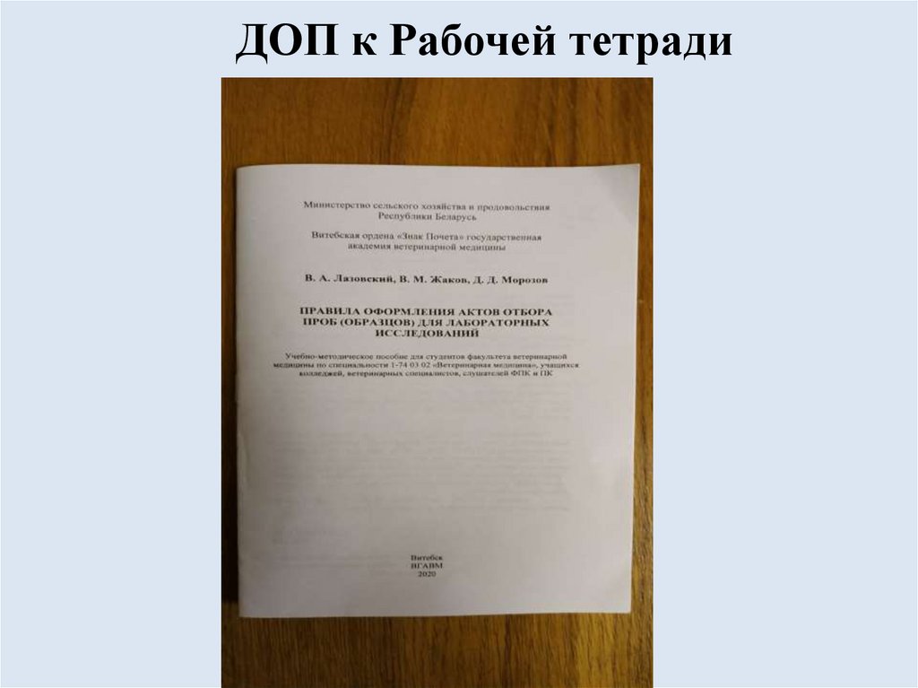 ДОП к Рабочей тетради