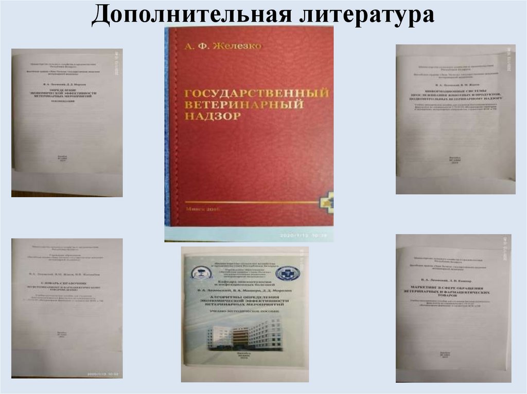 Дополнительная литература