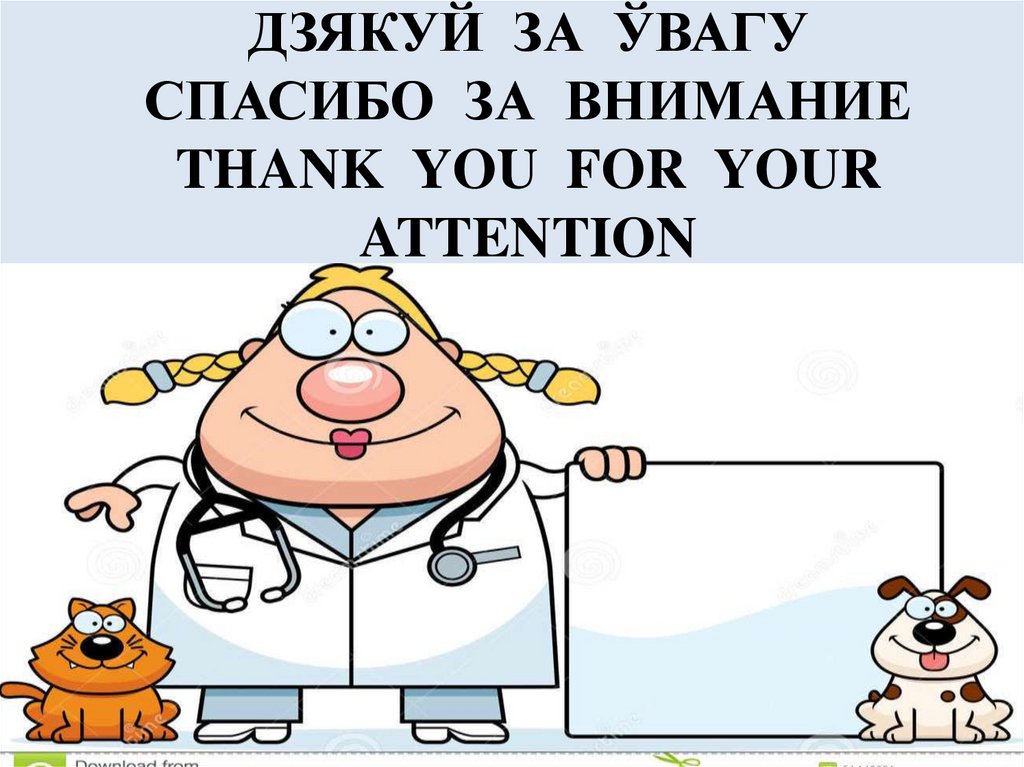 ДЗЯКУЙ ЗА ЎВАГУ СПАСИБО ЗА ВНИМАНИЕ THANK YOU FOR YOUR ATTENTION