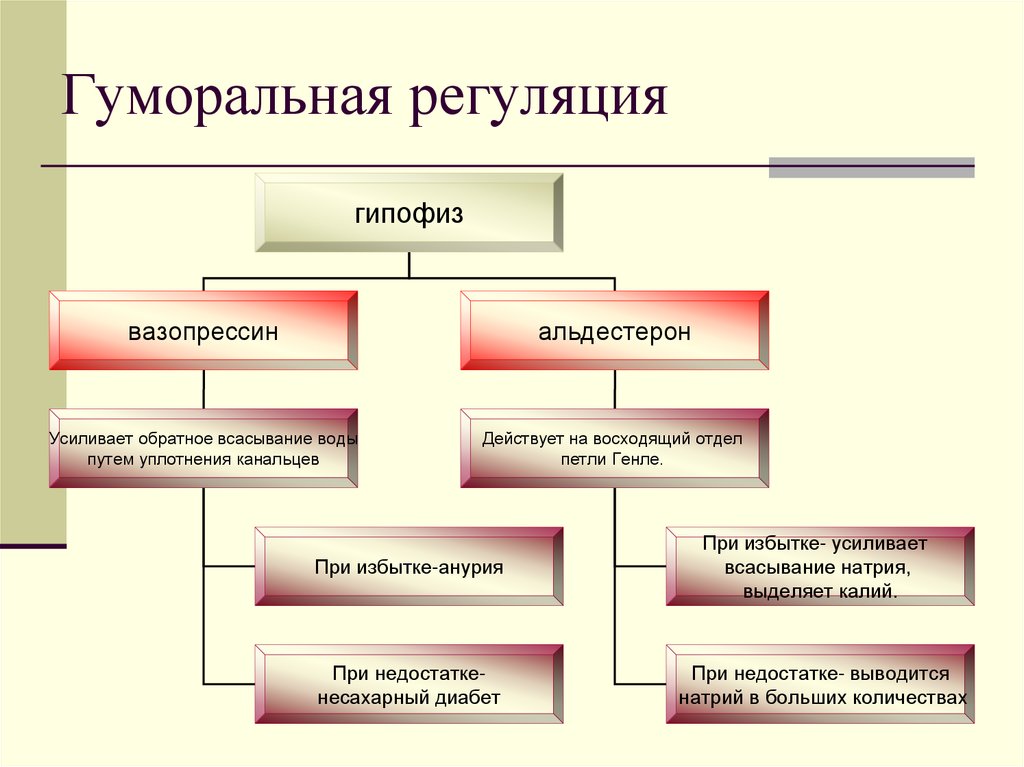 Гуморальная регуляция