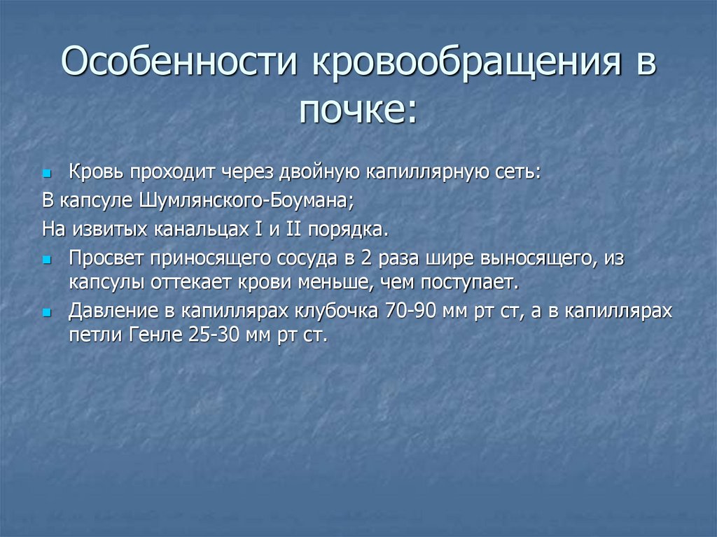 Особенности кровообращения в почке: