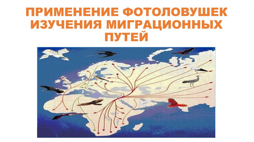 ПРИМЕНЕНИЕ ФОТОЛОВУШЕК ИЗУЧЕНИЯ МИГРАЦИОННЫХ ПУТЕЙ