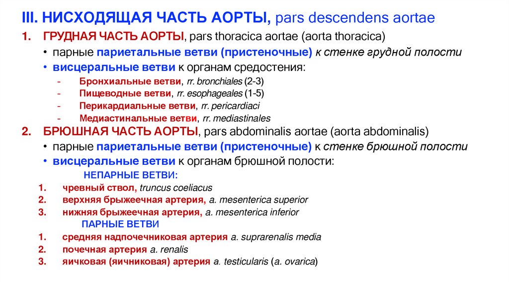 III. НИСХОДЯЩАЯ ЧАСТЬ АОРТЫ, pars descendens aortae