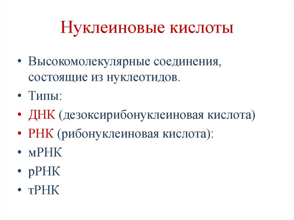 Нуклеиновые кислоты