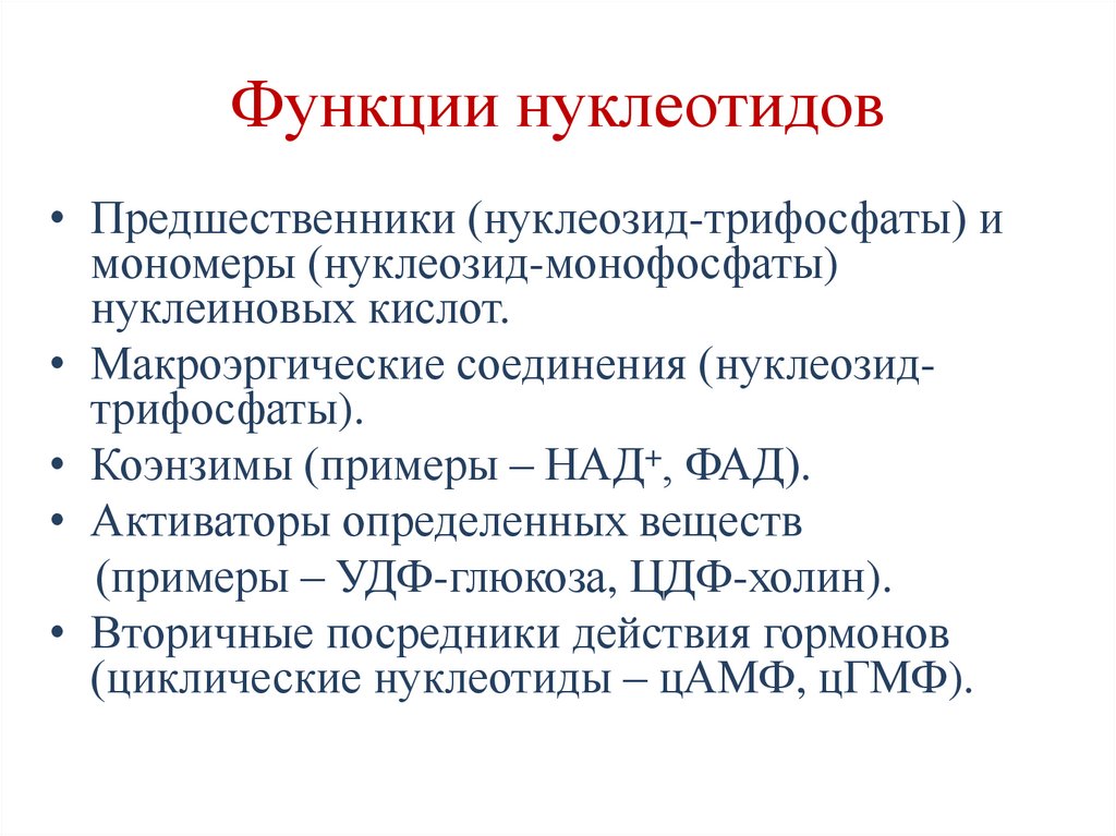 Функции нуклеотидов