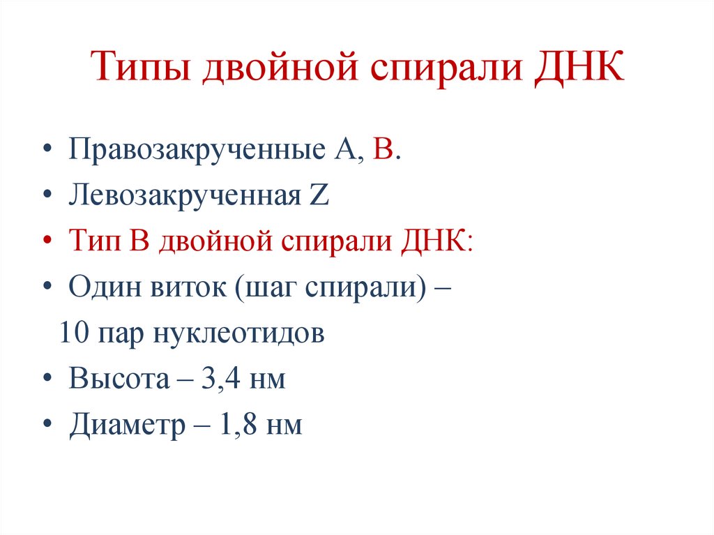 Типы двойной спирали ДНК