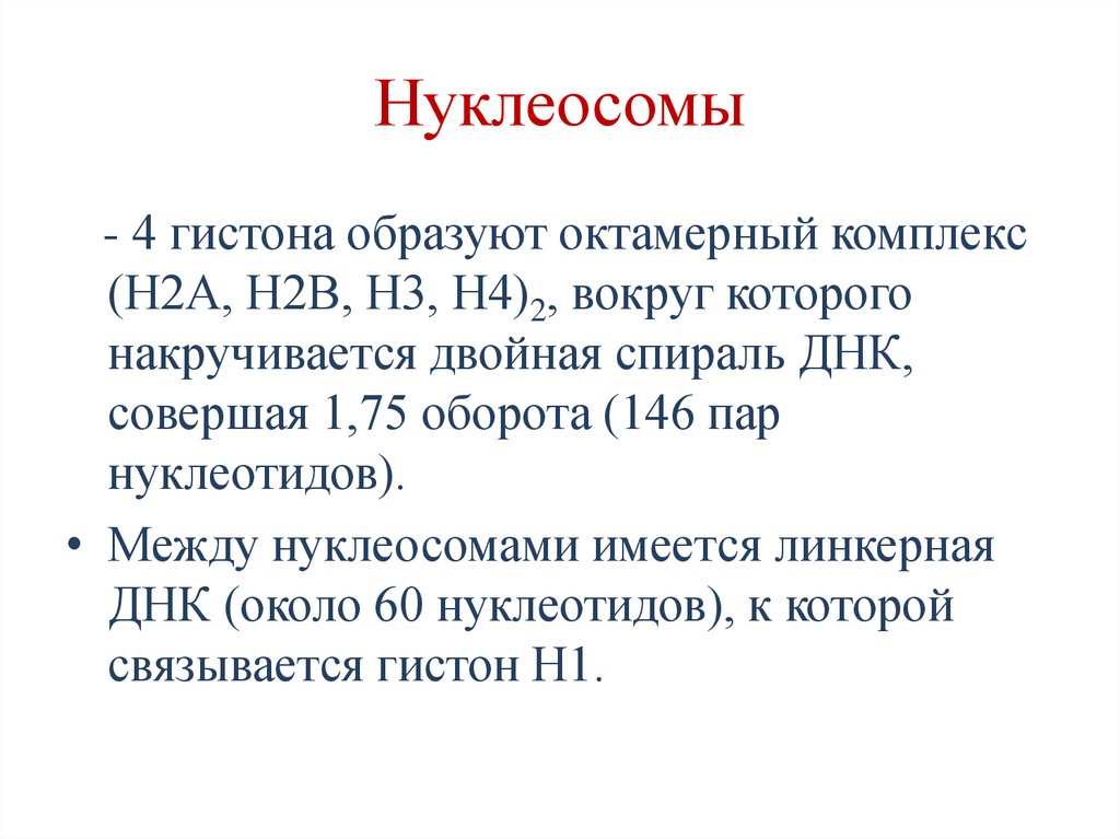 Нуклеосомы