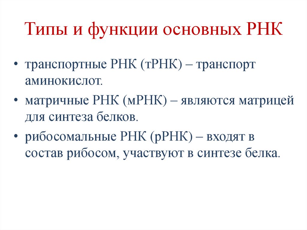 Типы и функции основных РНК