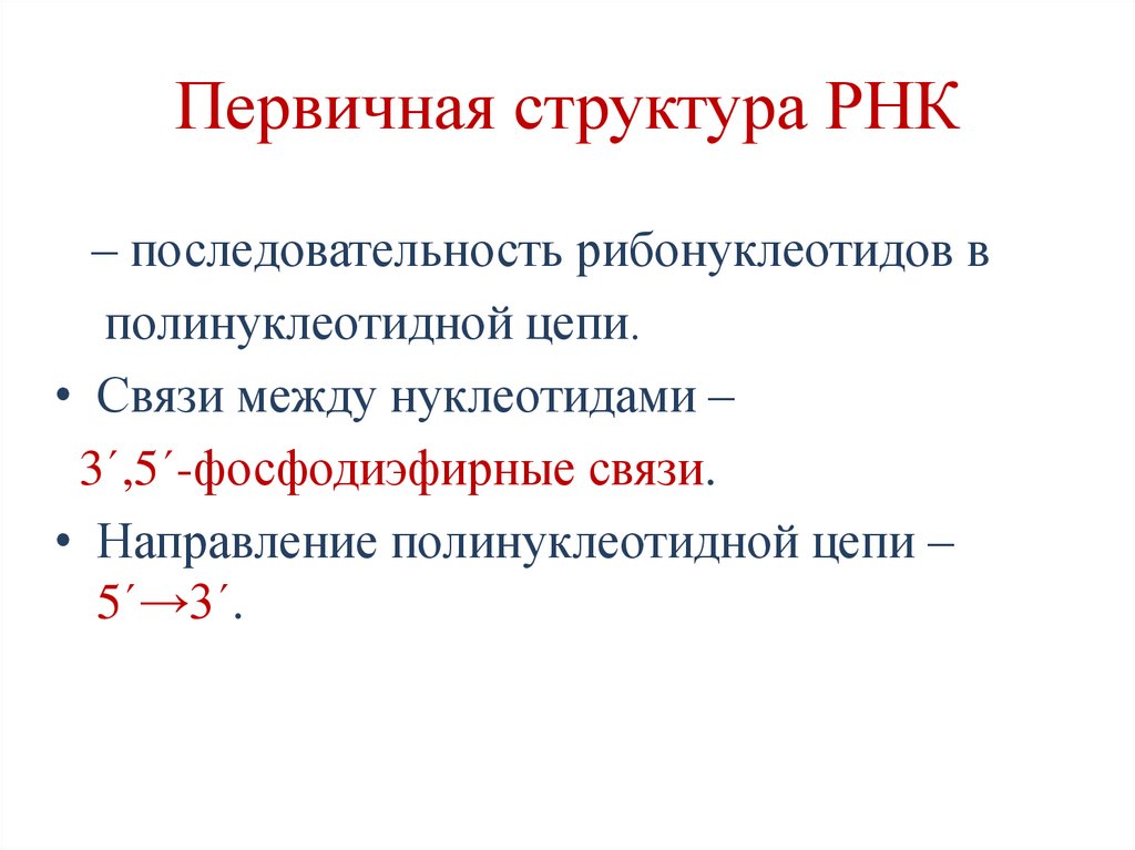 Первичная структура РНК