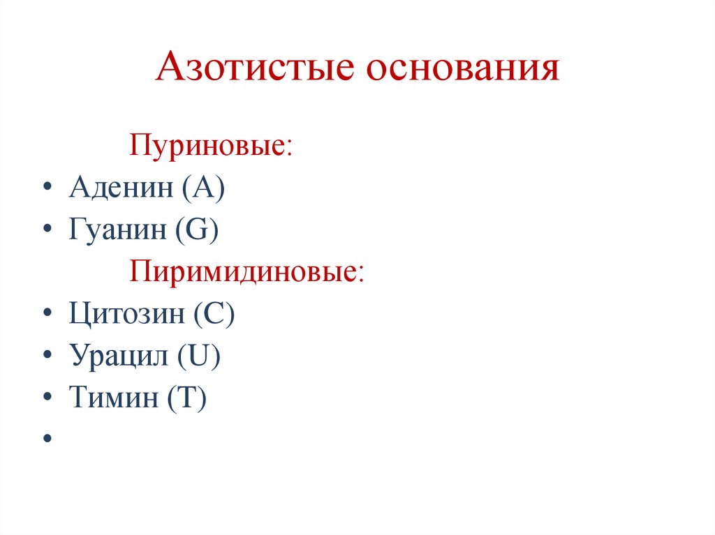 Азотистые основания