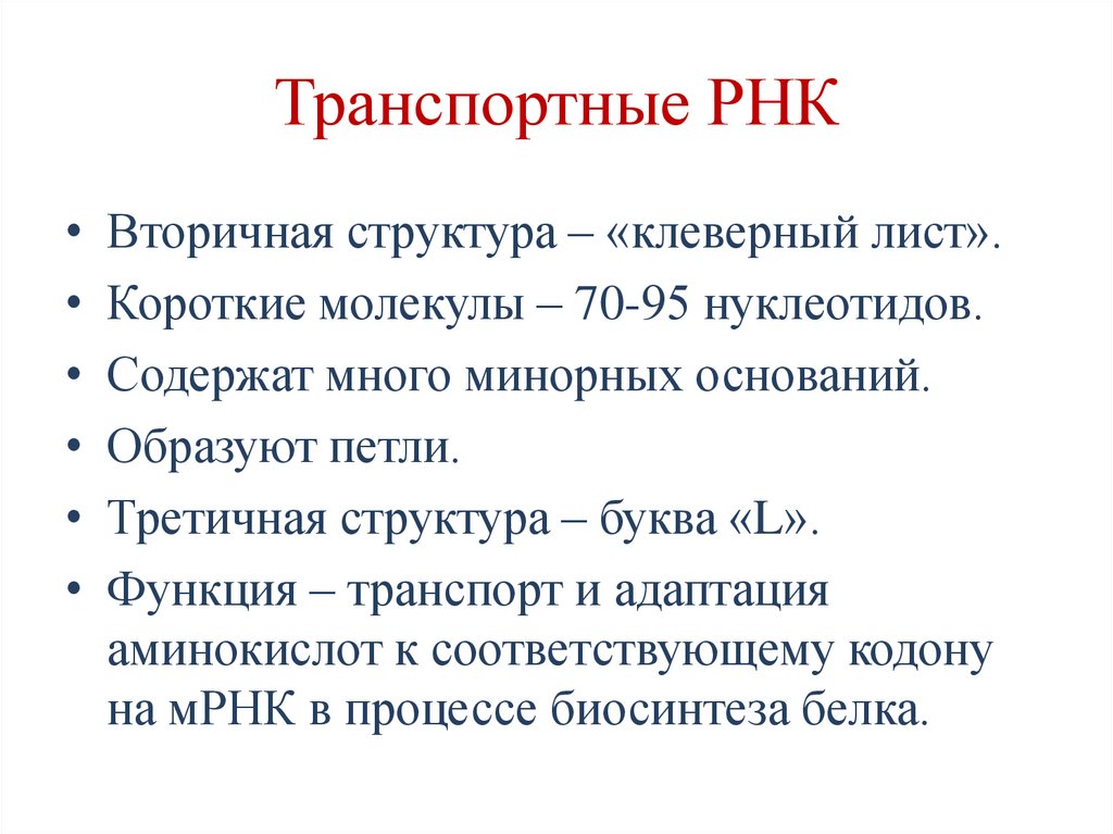 Транспортные РНК