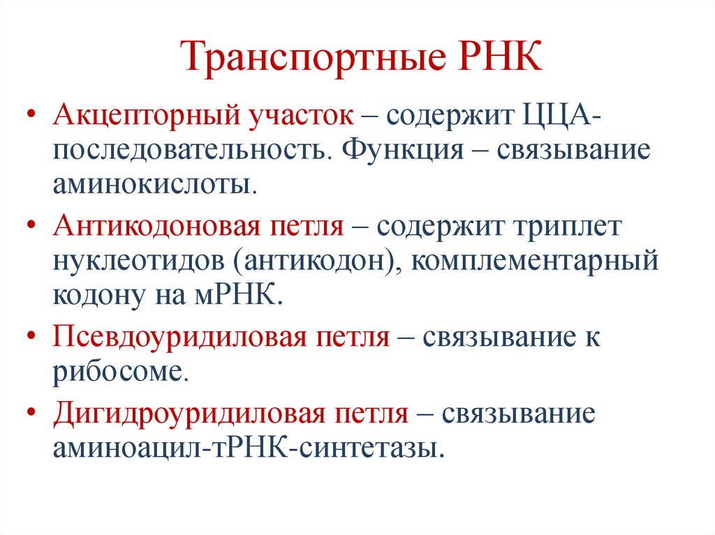 Транспортные РНК