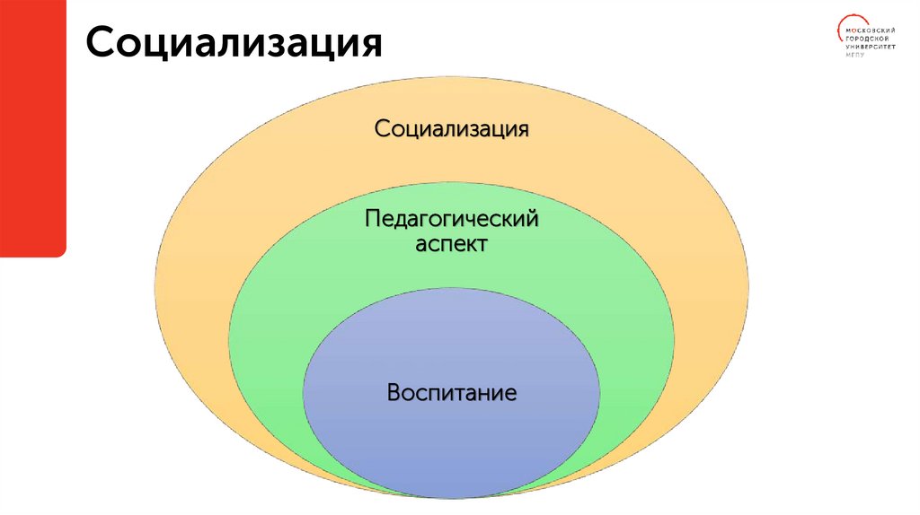 Социализация