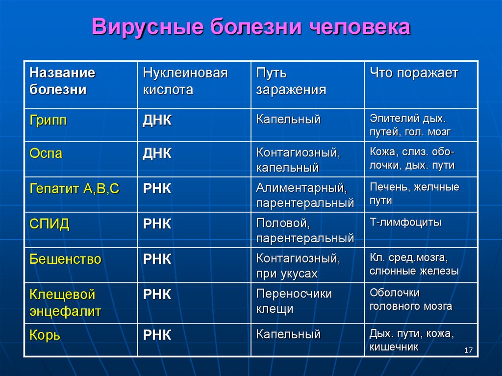 Вирусные болезни человека
