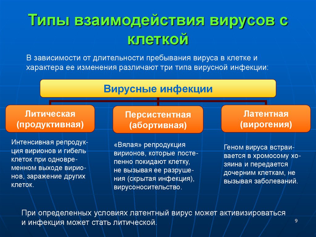 Типы взаимодействия вирусов с клеткой