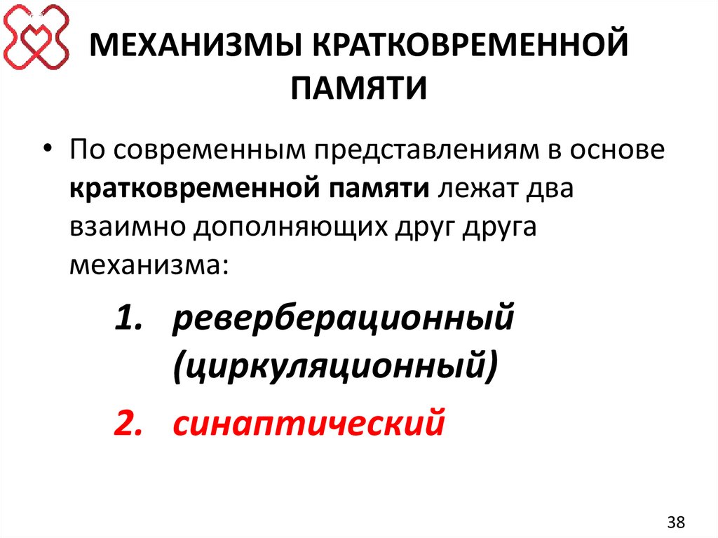 МЕХАНИЗМЫ КРАТКОВРЕМЕННОЙ ПАМЯТИ