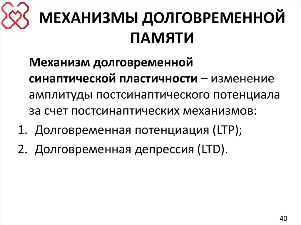 МЕХАНИЗМЫ ДОЛГОВРЕМЕННОЙ ПАМЯТИ