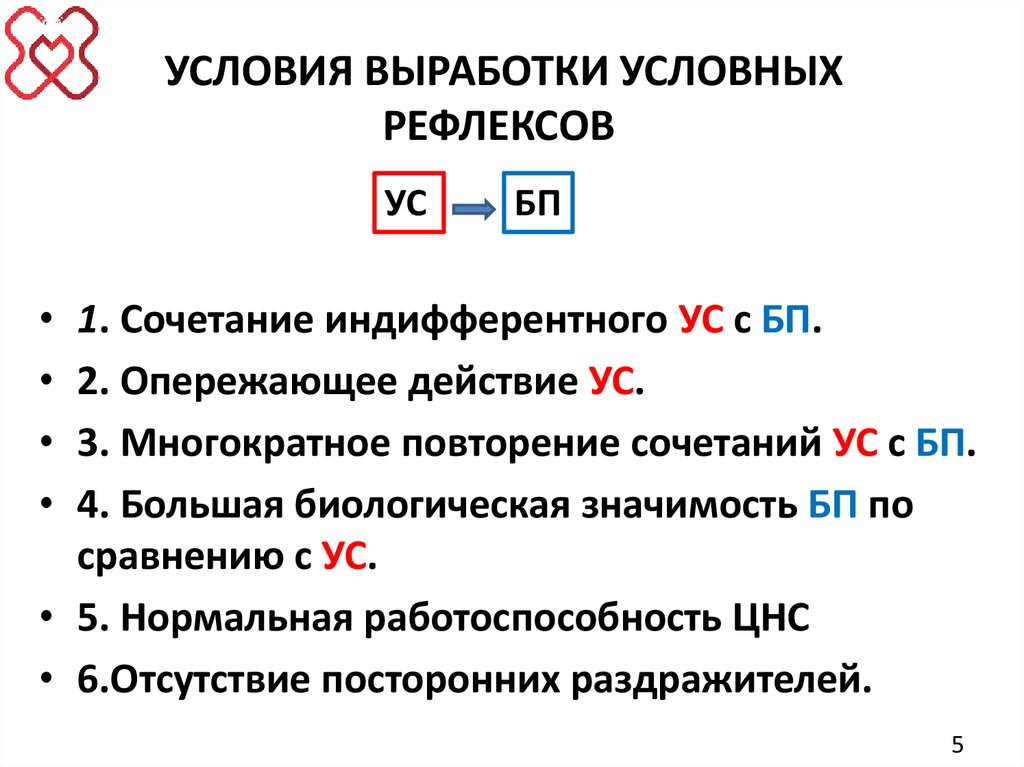 УСЛОВИЯ ВЫРАБОТКИ УСЛОВНЫХ РЕФЛЕКСОВ 