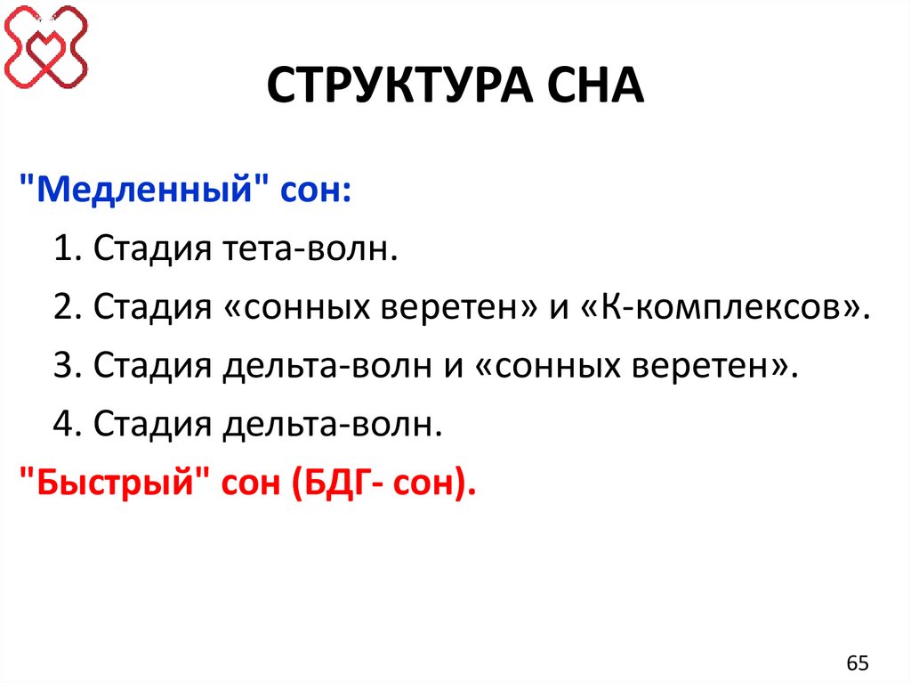 СТРУКТУРА СНА