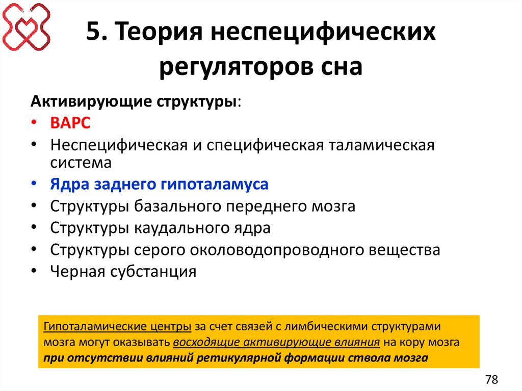 5. Теория неспецифических регуляторов сна