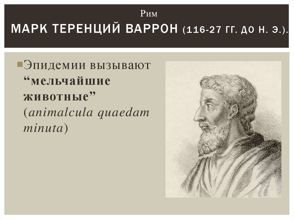Марк Теренций Варрон (116-27 гг. до н. э.).