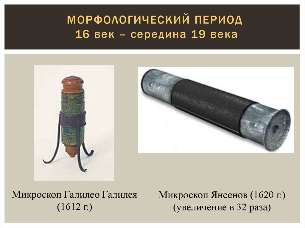 Морфологический период 16 век – середина 19 века