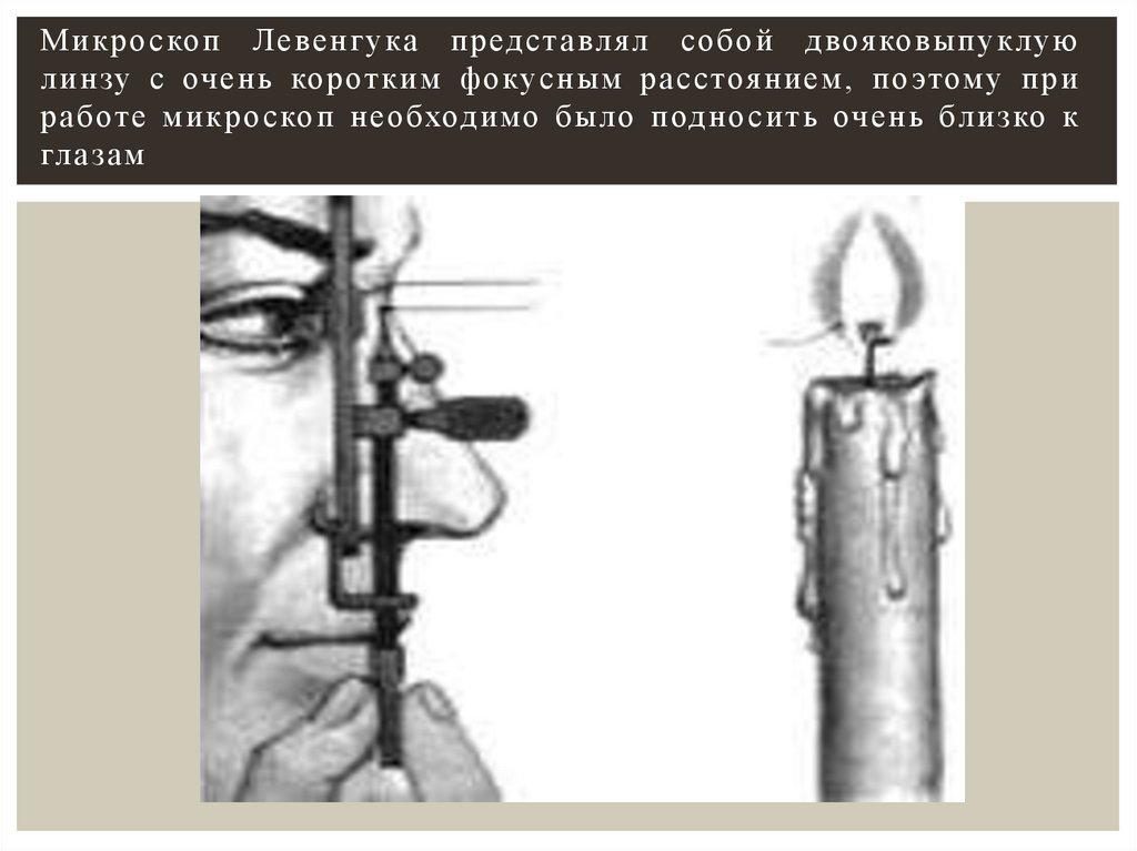 Микроскоп Левенгука представлял собой двояковыпуклую линзу с очень коротким фокусным расстоянием, поэтому при работе микроскоп