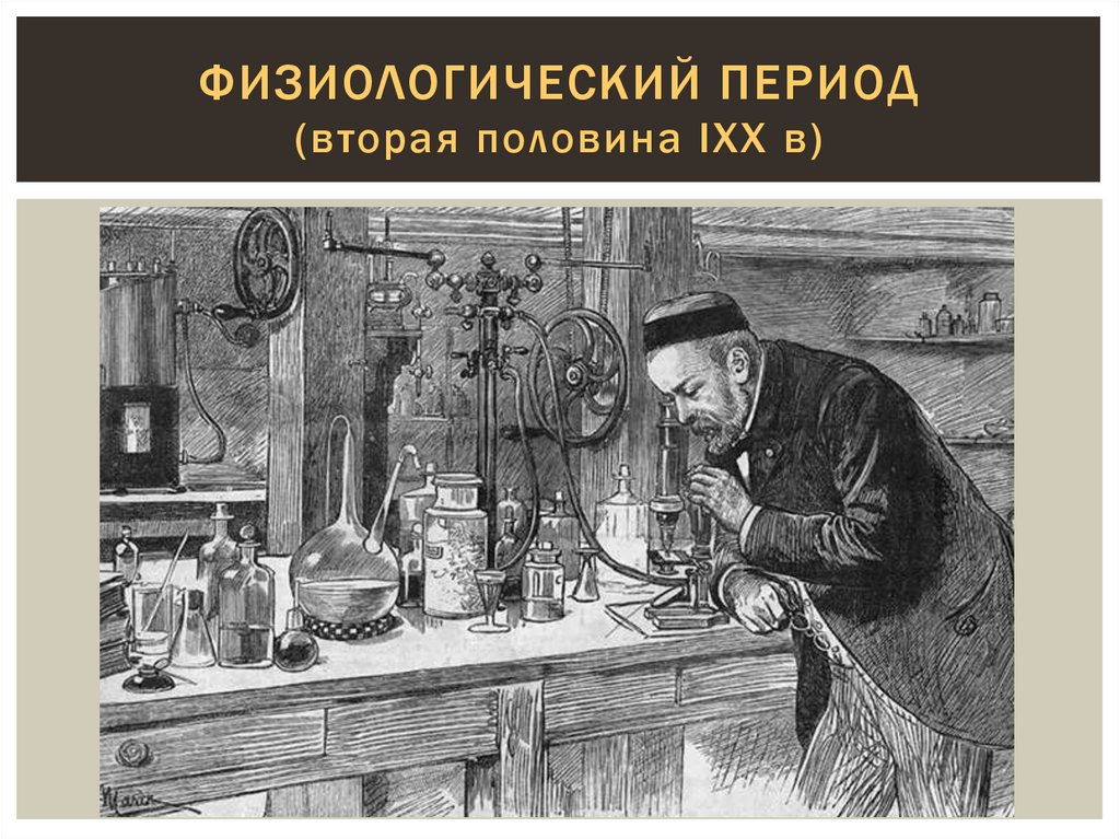 Физиологический период (вторая половина IXX в)