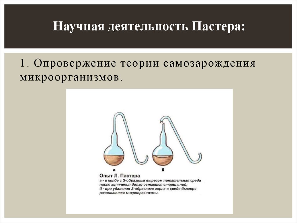 1. Опровержение теории самозарождения микроорганизмов.