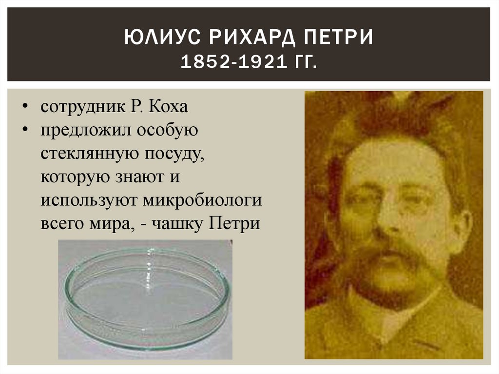 Юлиус Рихард Петри 1852-1921 гг.