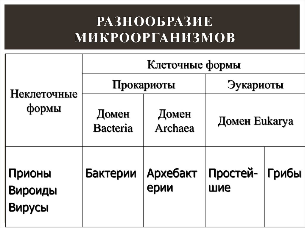 Разнообразие микроорганизмов